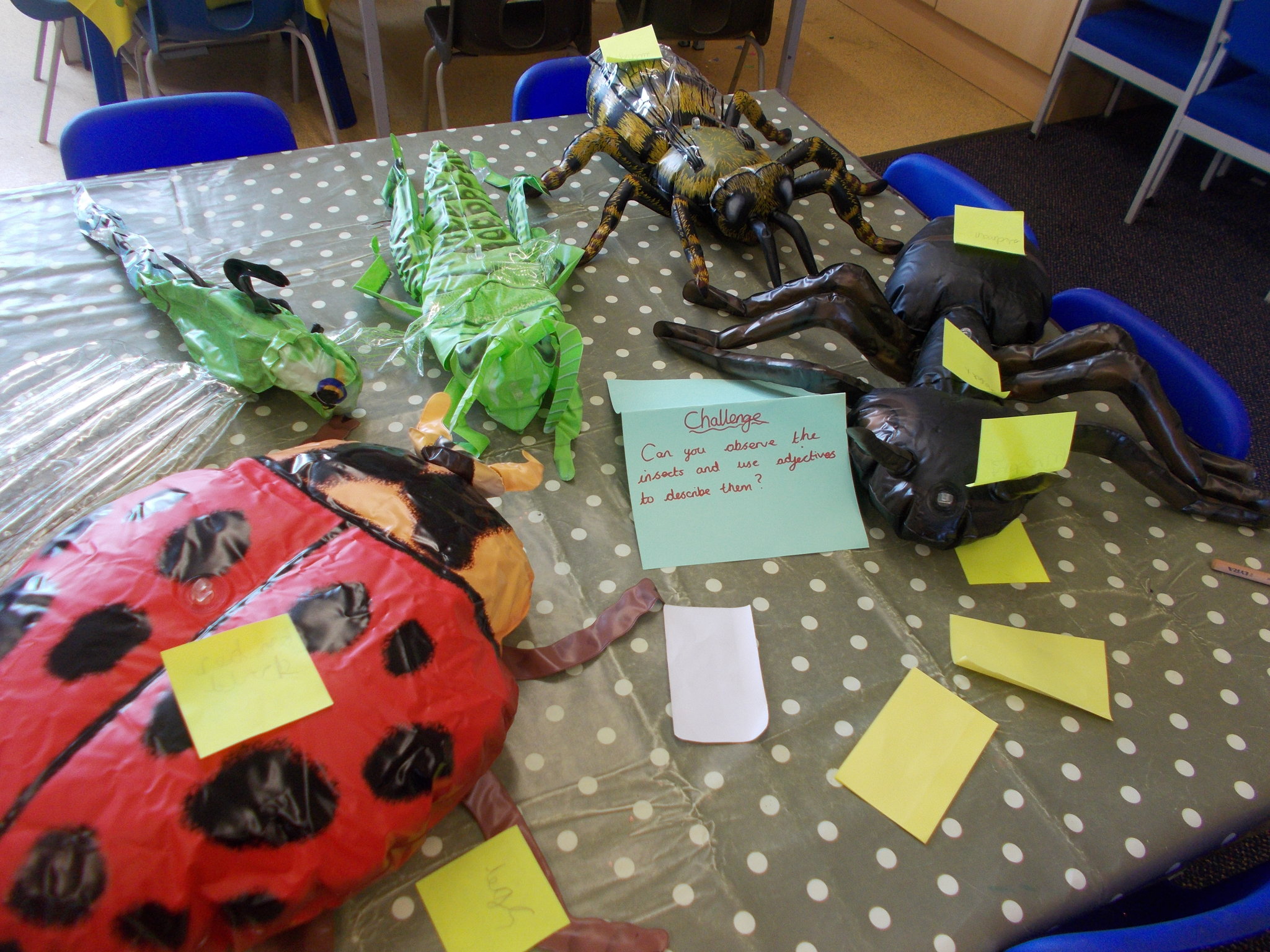 Image of Labeling insects